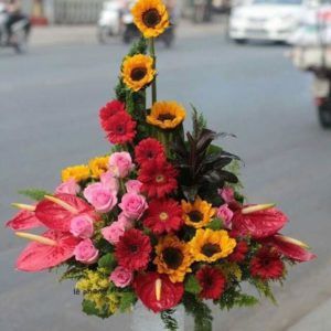 (Tiếng Việt) Hoa Sinh Nhật – Tươi mới