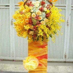 Hoa Chúc Mừng
