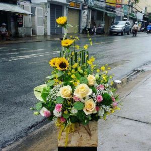 Hoa Sinh Nhật – Tuổi trẻ