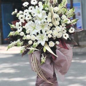 HOA CHÚC MỪNG