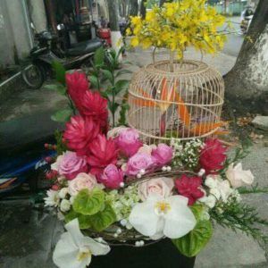 Hoa Sinh Nhật – Tươi mới 1