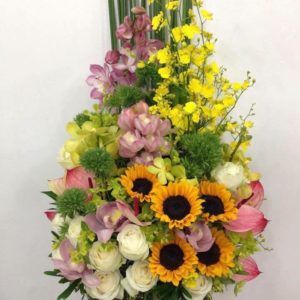 Chúc mừng sinh nhật