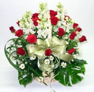Hoa Quốc Tế Phụ Nữ – Khúc dương cầm