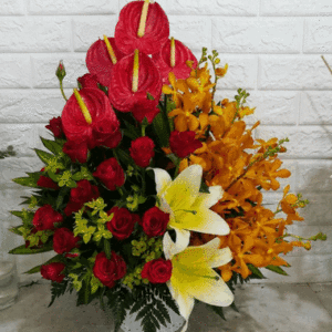 Hoa Sinh Nhật – Tỏa nắng