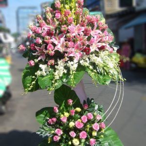 Hoa Khai Trương – Thành công