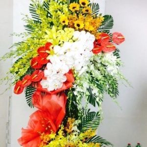 Hoa Khai Trương Công danh