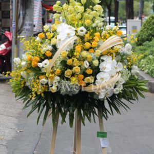 Hoa Khai Trương – Vững bước