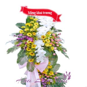Hoa Khai Trương – Tiến lên