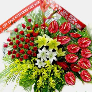 Hoa Khai Trương – Vững mạnh