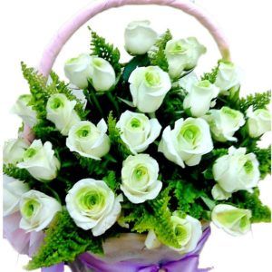 Hoa Sinh Nhật – Hồn Nhiên