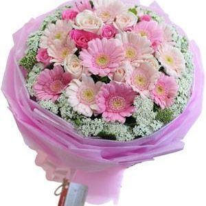 HOA Bó  – MÙA XUÂN NHỎ