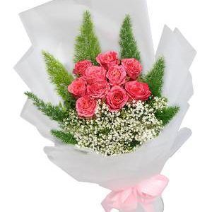 Hoa Bó – Special Love
