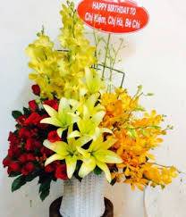 (Tiếng Việt) Hoa Sinh Nhật – Happy Birthday