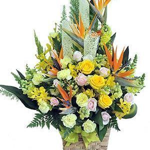 Hoa Giỏ – BEST WISHES