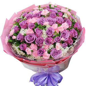 HOA BÓ – CHIỀU TÍM NHỚ EM
