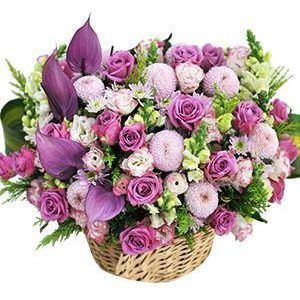 Lễ Tình Nhân – Dấu Yêu