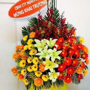 Hoa Khai Trương – Đại Cát