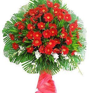 Hoa Khai Trương – Tiến Bước