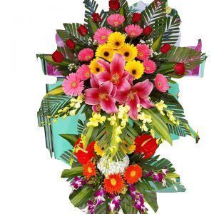 Hoa Khai Trương – Phồn Hoa