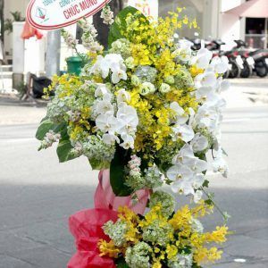 Hoa Khai Trương – Phú Qúy