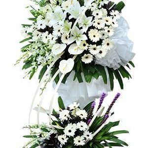 HOA CHIA BUỒN Another Life