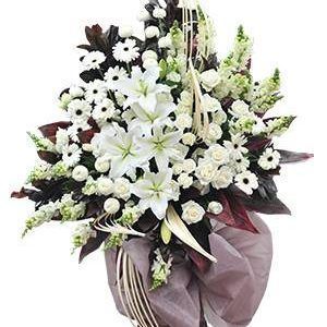 Hoa Chia Buồn Lời Chia Buồn