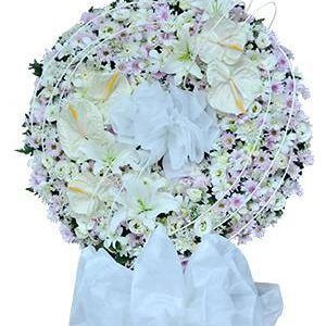Hoa Chia Buồn Nhớ