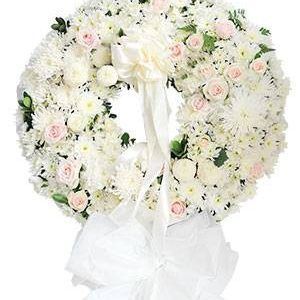 Hoa Chia Buồn Niệm Khúc Cuối