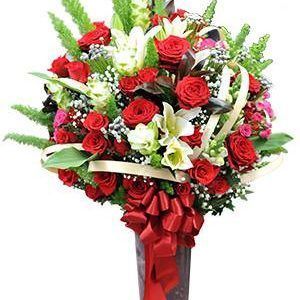 (Tiếng Việt) Lễ Tình Nhân – Hopefully