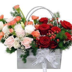 HOA GIỎ – Khởi Đầu Mới