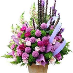 HOA HỘP – MỘNG MƠ 2