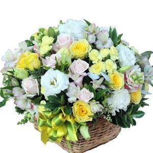 HOA GIỎ – NẮNG SỚM