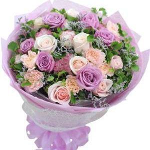 Hoa Bó – NHỮNG NGÀY MỘNG MƠ