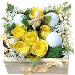 HOA HỘP – NOEL BOX