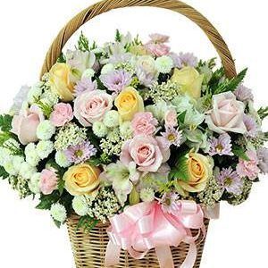 (Tiếng Việt) Lễ Tình Nhân – Nụ Cười