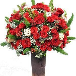 Lễ Tình Nhân – Red Roses