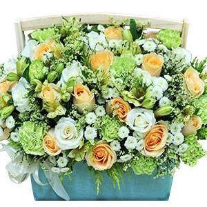 HOA HỘP – SMILE BOX