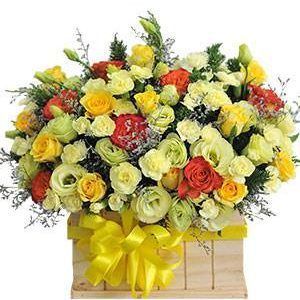 HOA HỘP – SPECIAL THANKS