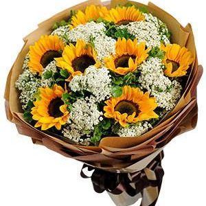 (Tiếng Việt) Hoa Bó – SUNNY
