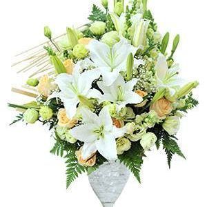 (Tiếng Việt) Lễ Tình Nhân – Tinh Khôi