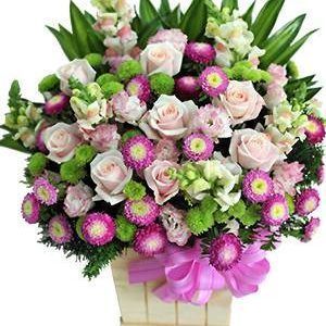 HOA HỘP TRÓT YÊU NGƯỜI