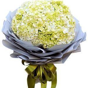 Hoa Bó – TÚ CẦU
