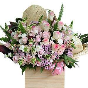 HOA HỘP – TÌNH NGỌT NGÀO