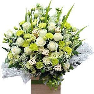 HOA HỘP – TÌNH YÊU MÃI XANH