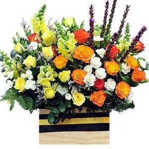 HOA HỘP VỮNG VÀNG