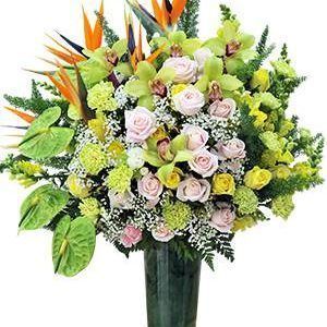 (Tiếng Việt) Hoa Bình Hoa Sinh Nhật Hoa Chúc Mừng Lễ Tình Nhân Ban mai xanh