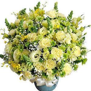(Tiếng Việt) Hoa Bình Hoa Sinh Nhật Hoa Chúc Mừng Lễ Tình Nhân Chân trời xanh