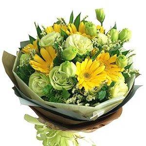 (Tiếng Việt) Hoa Sinh Nhật – Nắng Mai