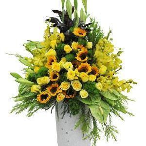 Hoa Bình Hoa Sinh Nhật Hoa Chúc Mừng Lễ Tình Nhân Hội tụ