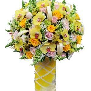 Hoa Bình Hoa Sinh Nhật Hoa Chúc Mừng Lễ Tình Nhân Màu của nắng